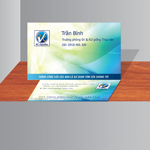Tổng quát về Danh thiếp trong in ấn